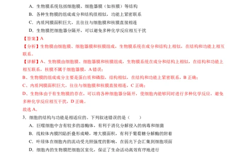 第06讲细胞器和生物膜系统（练习）（解析版）_2025年新高考资料_一轮复习_2025年高考生物一轮复习讲练测（新教材新高考）