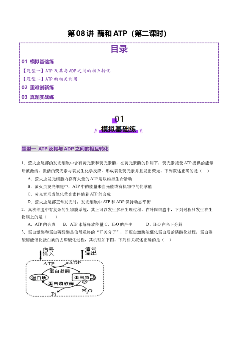 第08讲酶和ATP（第二课时）（练习）（原卷版）_新高考复习资料_2025年新高考资料_2025年高考生物一轮复习讲练测（新教材新高考）