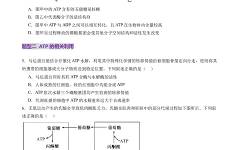 第08讲酶和ATP（第二课时）（练习）（原卷版）_新高考复习资料_2025年新高考资料_2025年高考生物一轮复习讲练测（新教材新高考）