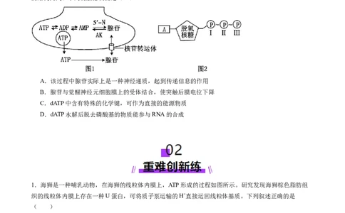 第08讲酶和ATP（第二课时）（练习）（原卷版）_新高考复习资料_2025年新高考资料_2025年高考生物一轮复习讲练测（新教材新高考）
