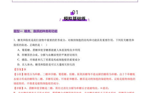 第03讲糖类和脂质（练习）（解析版）_2025年新高考资料_一轮复习_2025年高考生物一轮复习讲练测（新教材新高考）