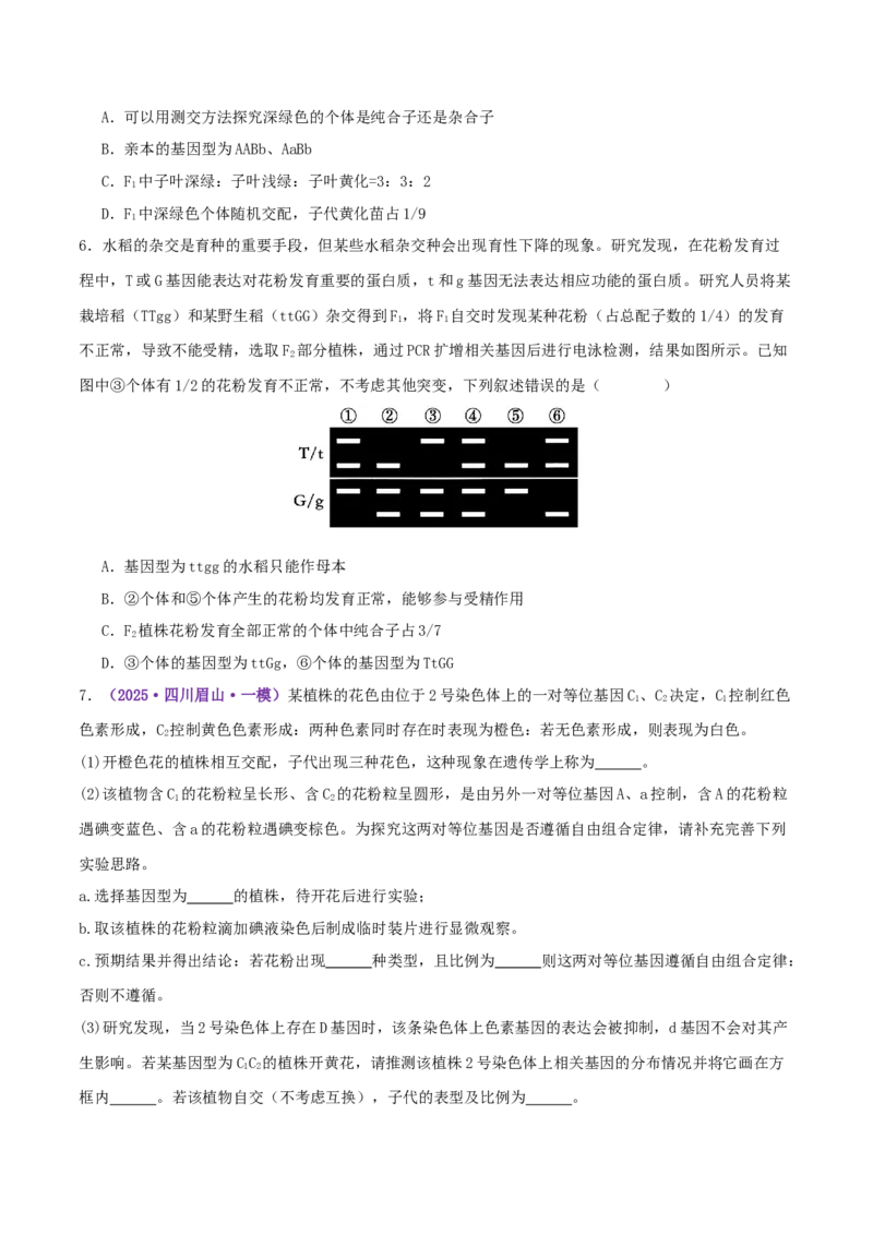 第07讲基因的分离定律和自由组合定律（专项训练，3大题型）（原卷版）_2025年新高考资料_二轮复习_上好课2025年高考生物二轮复习讲练测（新高考通用）3380526