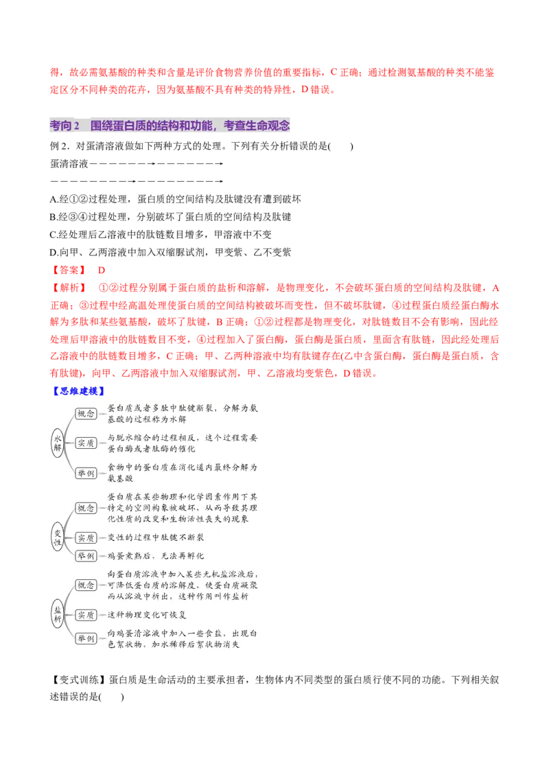 第04讲蛋白质和核酸（讲义）（解析版）_2025年新高考资料_一轮复习_2025年高考生物一轮复习讲练测（新教材新高考）