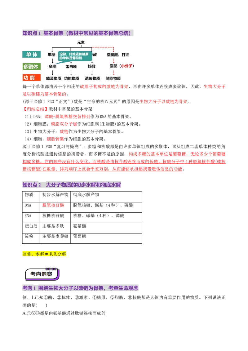 第04讲蛋白质和核酸（讲义）（解析版）_2025年新高考资料_一轮复习_2025年高考生物一轮复习讲练测（新教材新高考）