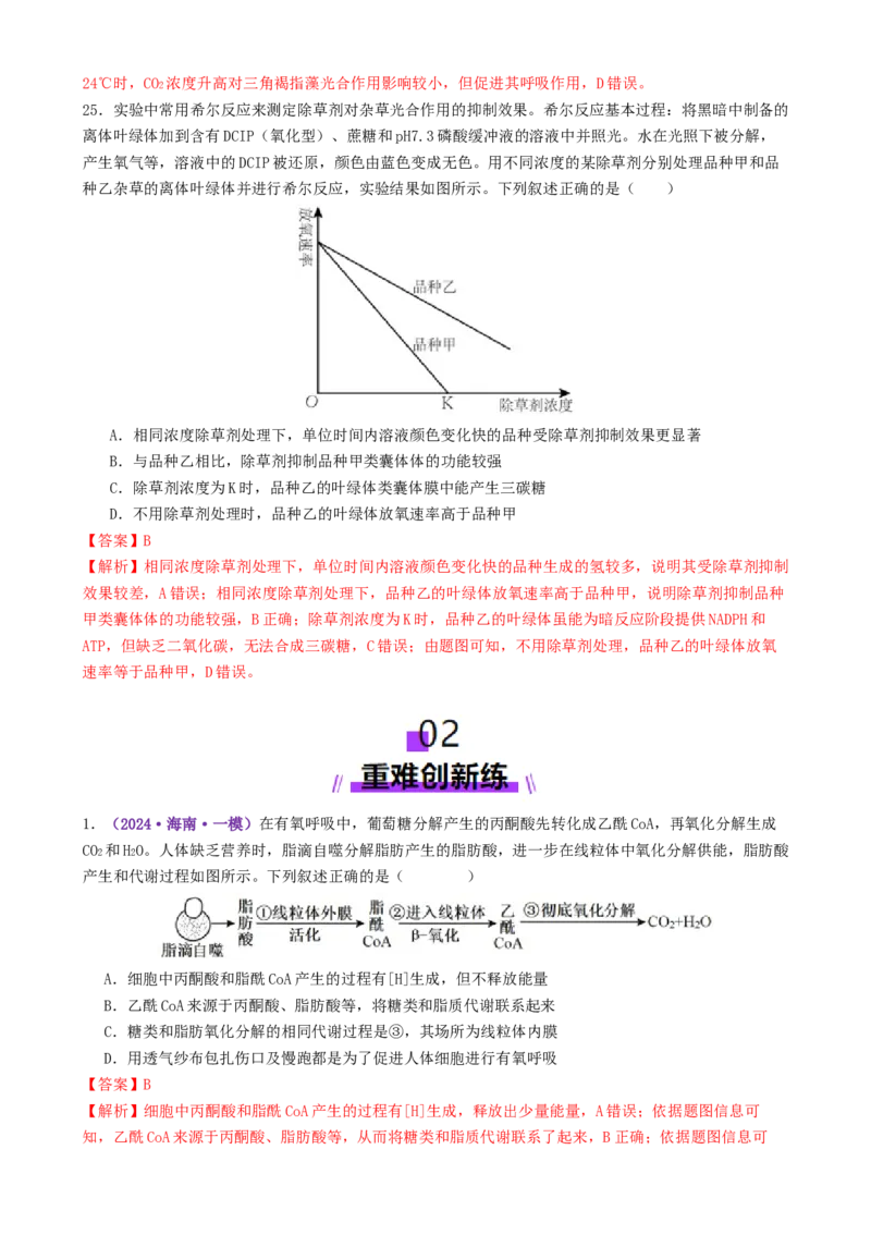 第04讲细胞呼吸和光合作用（专项训练）（解析版）_2025年新高考资料_二轮复习_上好课2025年高考生物二轮复习讲练测（新高考通用）3380526
