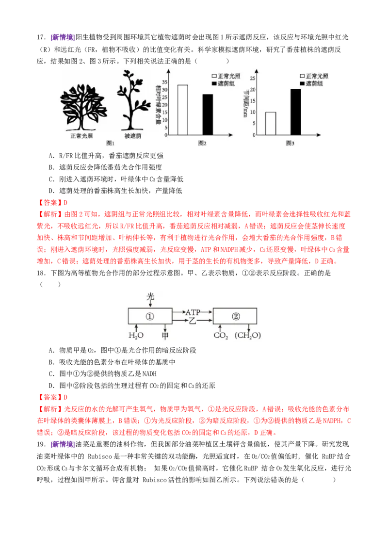 第04讲细胞呼吸和光合作用（专项训练）（解析版）_2025年新高考资料_二轮复习_上好课2025年高考生物二轮复习讲练测（新高考通用）3380526