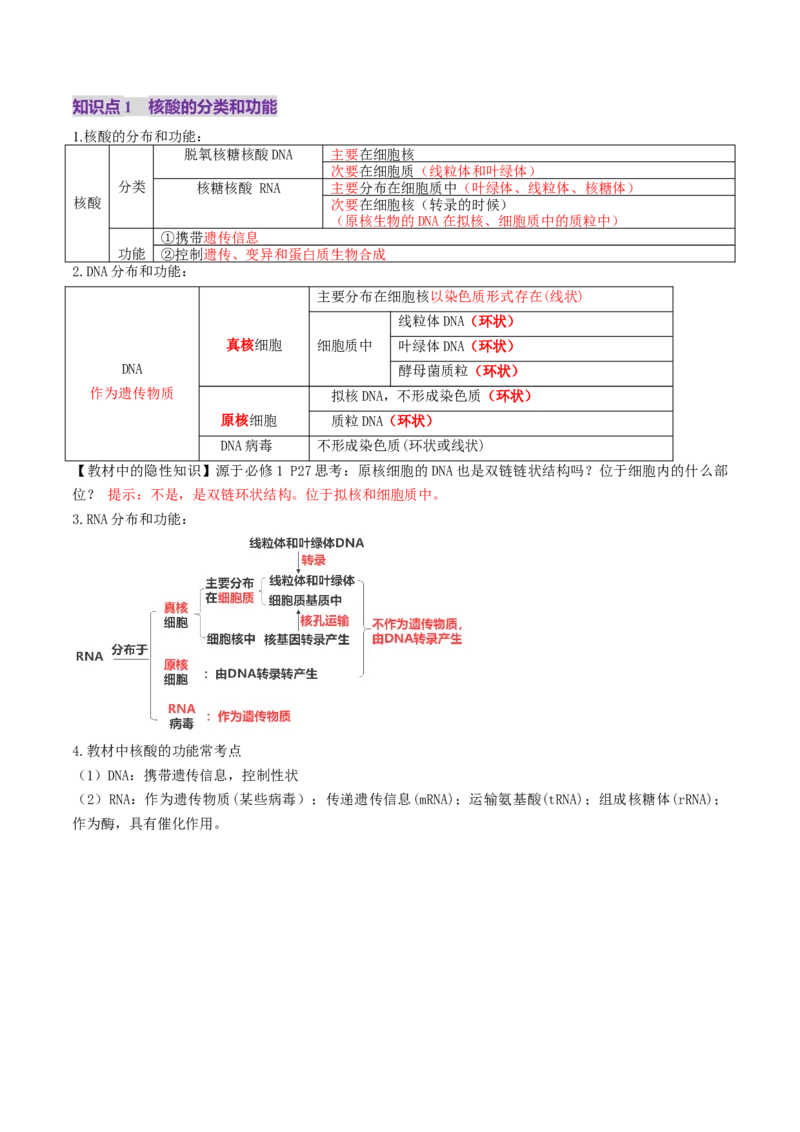 第04讲蛋白质和核酸（讲义）（原卷版）_2025年新高考资料_一轮复习_2025年高考生物一轮复习讲练测（新教材新高考）