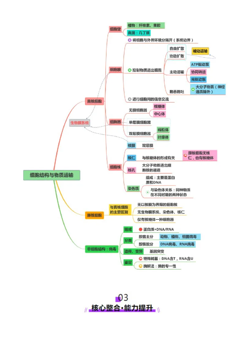第02讲细胞的基本结构、功能和物质进出细胞的方式（讲义）（解析版）_2025年新高考资料_二轮复习_上好课2025年高考生物二轮复习讲练测（新高考通用）3380526