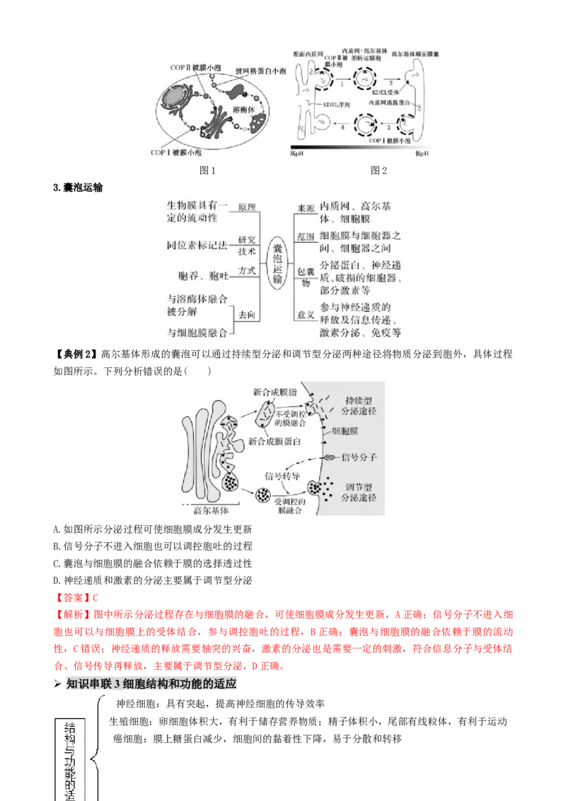 第02讲细胞的基本结构、功能和物质进出细胞的方式（讲义）（解析版）_2025年新高考资料_二轮复习_上好课2025年高考生物二轮复习讲练测（新高考通用）3380526