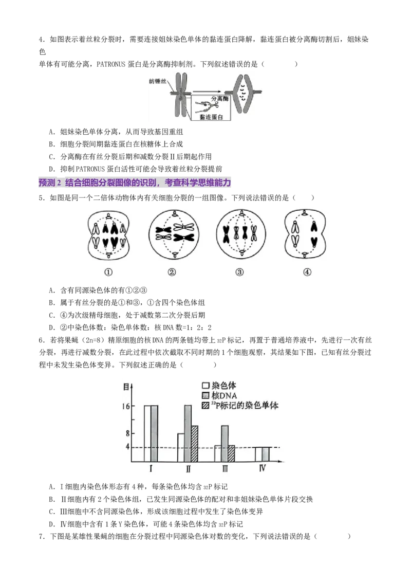 第05讲细胞的增殖和减数分裂（讲义）（原卷版）_2025年新高考资料_二轮复习_01高考语文等多个文件_上好课2025年高考生物二轮复习讲练测（新高考通用）