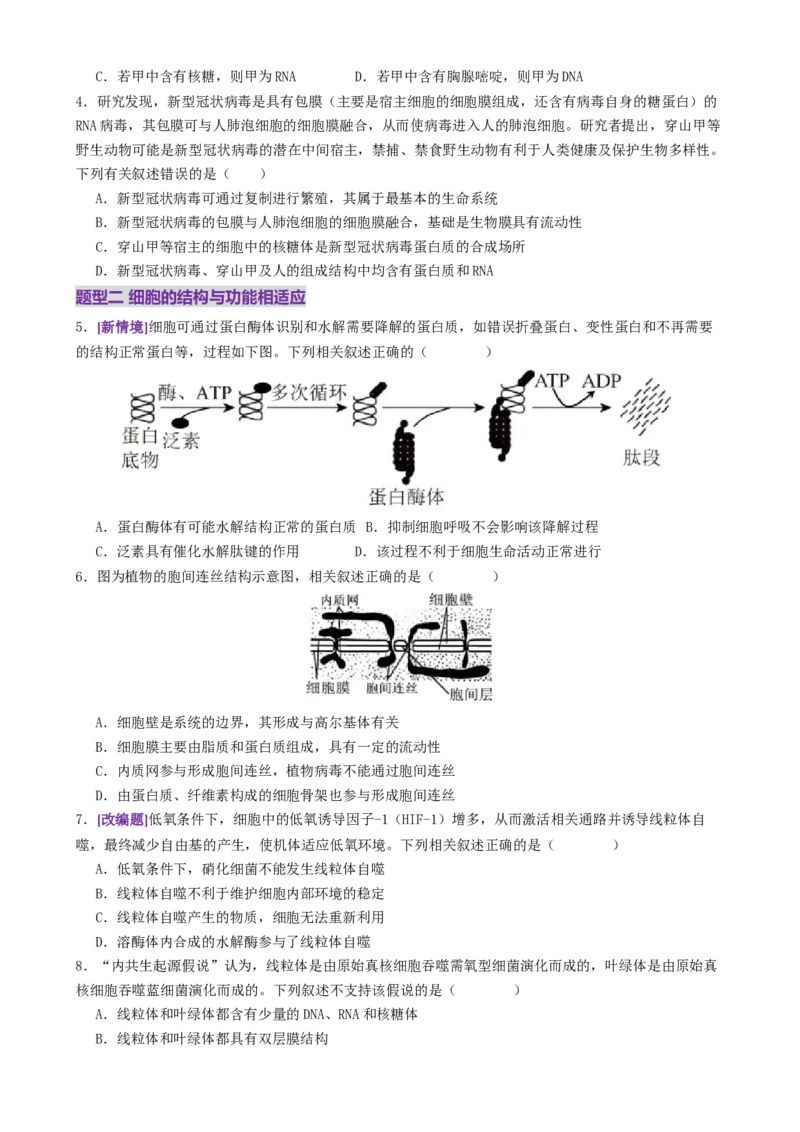 第02讲细胞的基本结构、功能与物质进出细胞的方式（练习）（原卷版）_2025年新高考资料_二轮复习_01高考语文等多个文件_上好课2025年高考生物二轮复习讲练测（新高考通用）