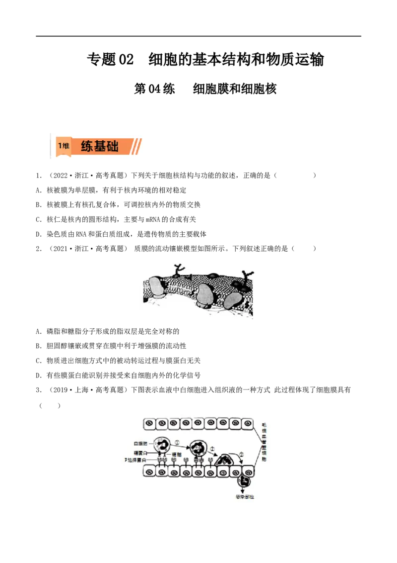 第04练细胞膜和细胞核（原卷版）_新高考复习资料_2023年新高考复习资料_一轮复习_2023年高考生物一轮复习小题多维练（新高考专用）