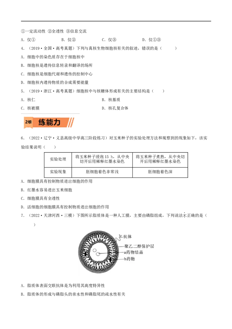 第04练细胞膜和细胞核（原卷版）_新高考复习资料_2023年新高考复习资料_一轮复习_2023年高考生物一轮复习小题多维练（新高考专用）