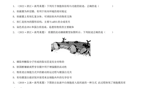 第04练细胞膜和细胞核（原卷版）_新高考复习资料_2023年新高考复习资料_一轮复习_2023年高考生物一轮复习小题多维练（新高考专用）