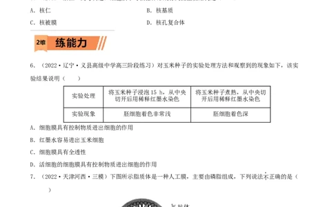 第04练细胞膜和细胞核（原卷版）_新高考复习资料_2023年新高考复习资料_一轮复习_2023年高考生物一轮复习小题多维练（新高考专用）