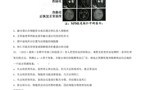 第04练细胞膜和细胞核（原卷版）_新高考复习资料_2023年新高考复习资料_一轮复习_2023年高考生物一轮复习小题多维练（新高考专用）