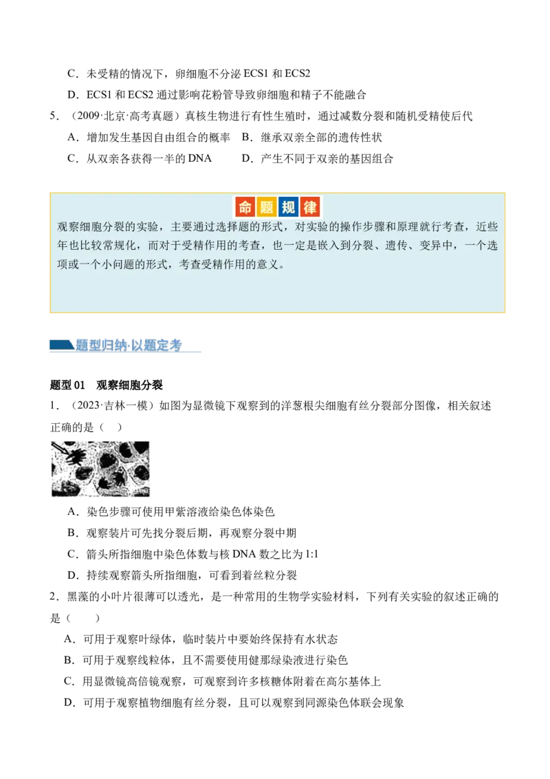 第05讲细胞的增殖与受精作用（讲义）原卷版_新高考复习资料_2024年新高考复习资料_二轮复习资料_2024年高考生物二轮复习讲练测（新教材新高考）_配套讲义
