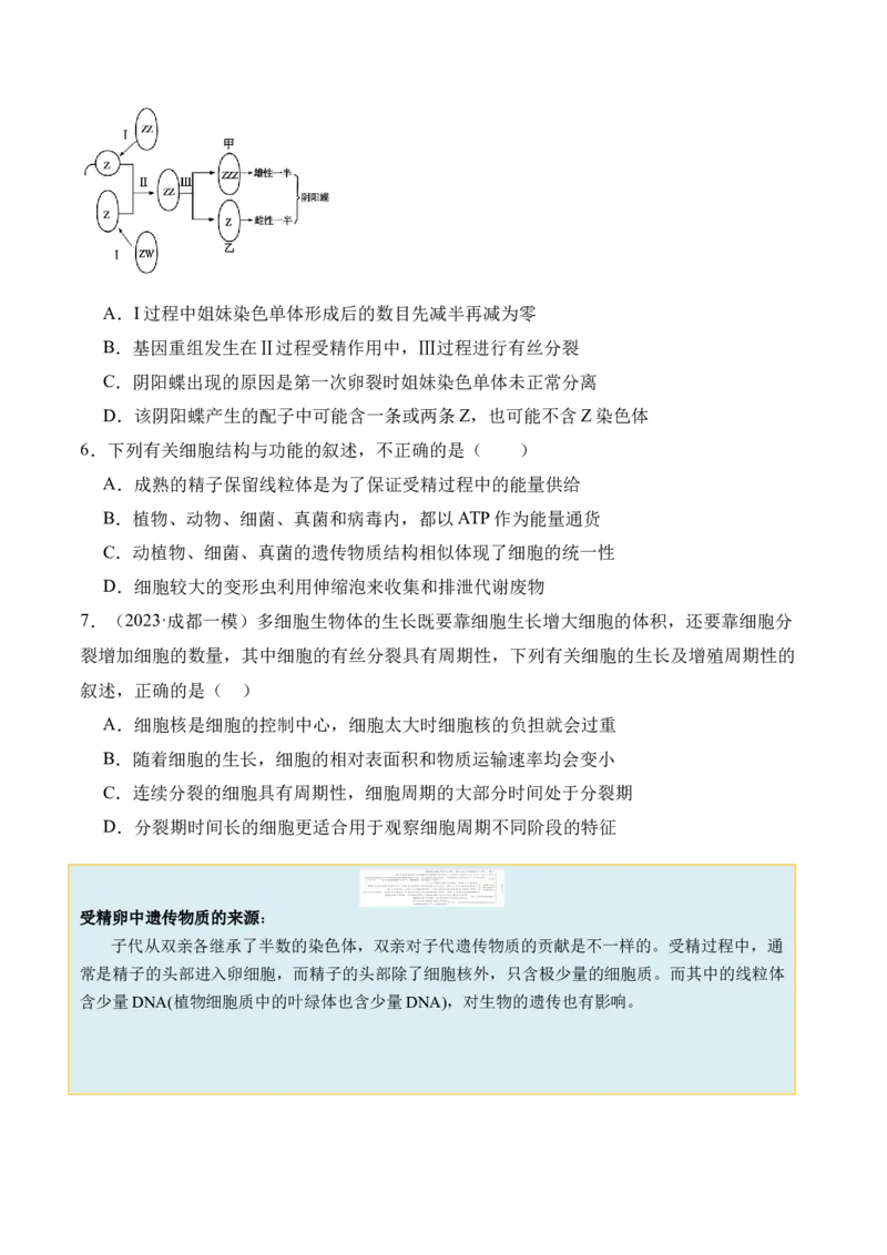 第05讲细胞的增殖与受精作用（讲义）原卷版_新高考复习资料_2024年新高考复习资料_二轮复习资料_2024年高考生物二轮复习讲练测（新教材新高考）_配套讲义