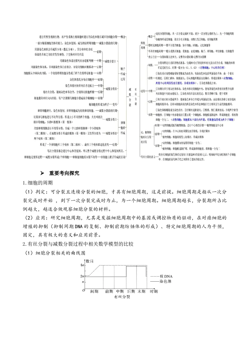 第05讲细胞的增殖与受精作用（讲义）原卷版_新高考复习资料_2024年新高考复习资料_二轮复习资料_2024年高考生物二轮复习讲练测（新教材新高考）_配套讲义