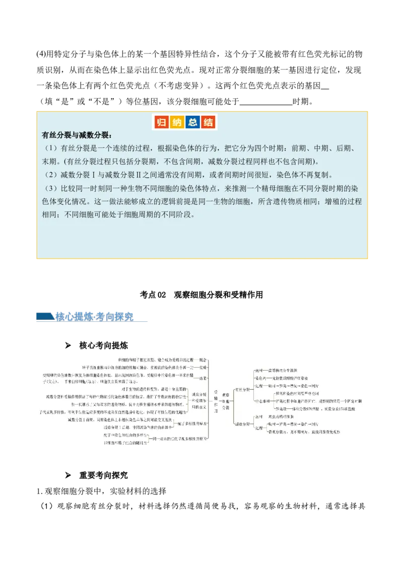 第05讲细胞的增殖与受精作用（讲义）原卷版_新高考复习资料_2024年新高考复习资料_二轮复习资料_2024年高考生物二轮复习讲练测（新教材新高考）_配套讲义