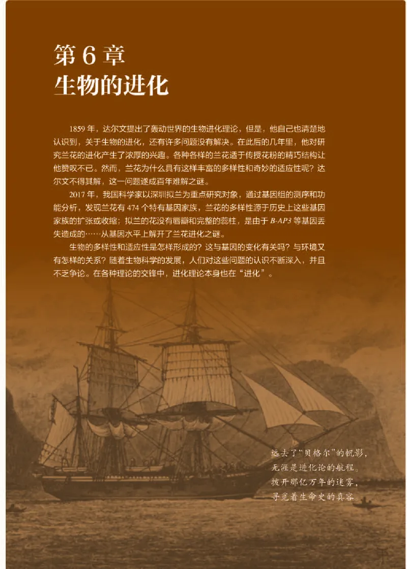 人教版生物必修2_高中电子课本_最新版高中全科高清电子课本_6高中生物课本_2019新人教版