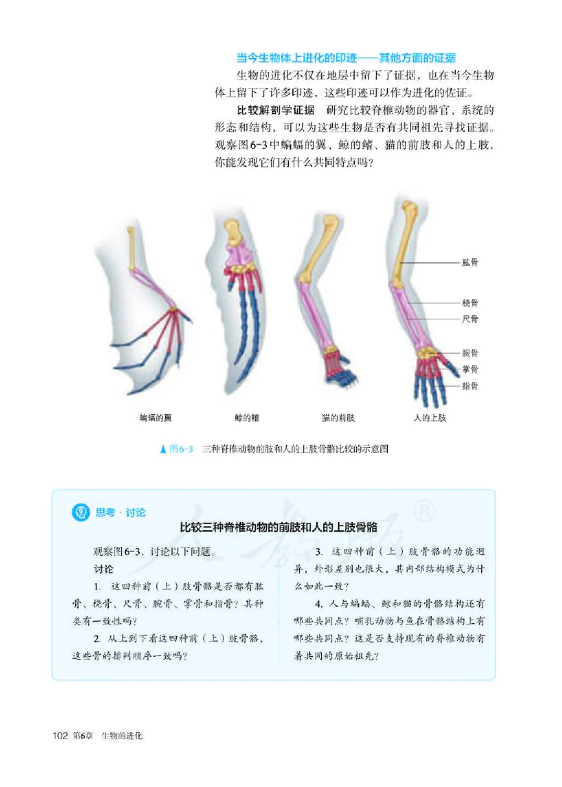 人教版生物必修2_高中电子课本_最新版高中全科高清电子课本_6高中生物课本_2019新人教版