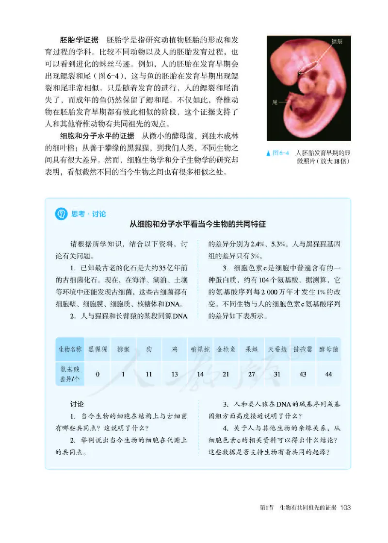 人教版生物必修2_高中电子课本_最新版高中全科高清电子课本_6高中生物课本_2019新人教版
