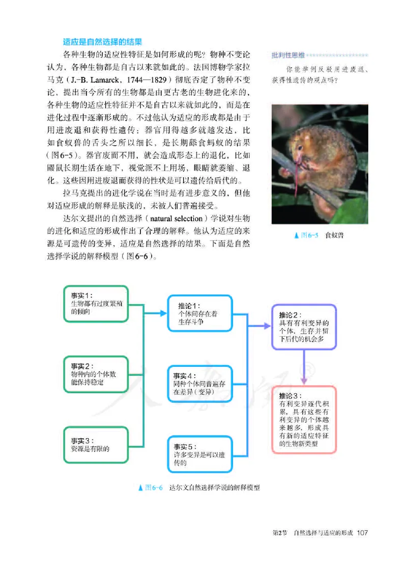 人教版生物必修2_高中电子课本_最新版高中全科高清电子课本_6高中生物课本_2019新人教版