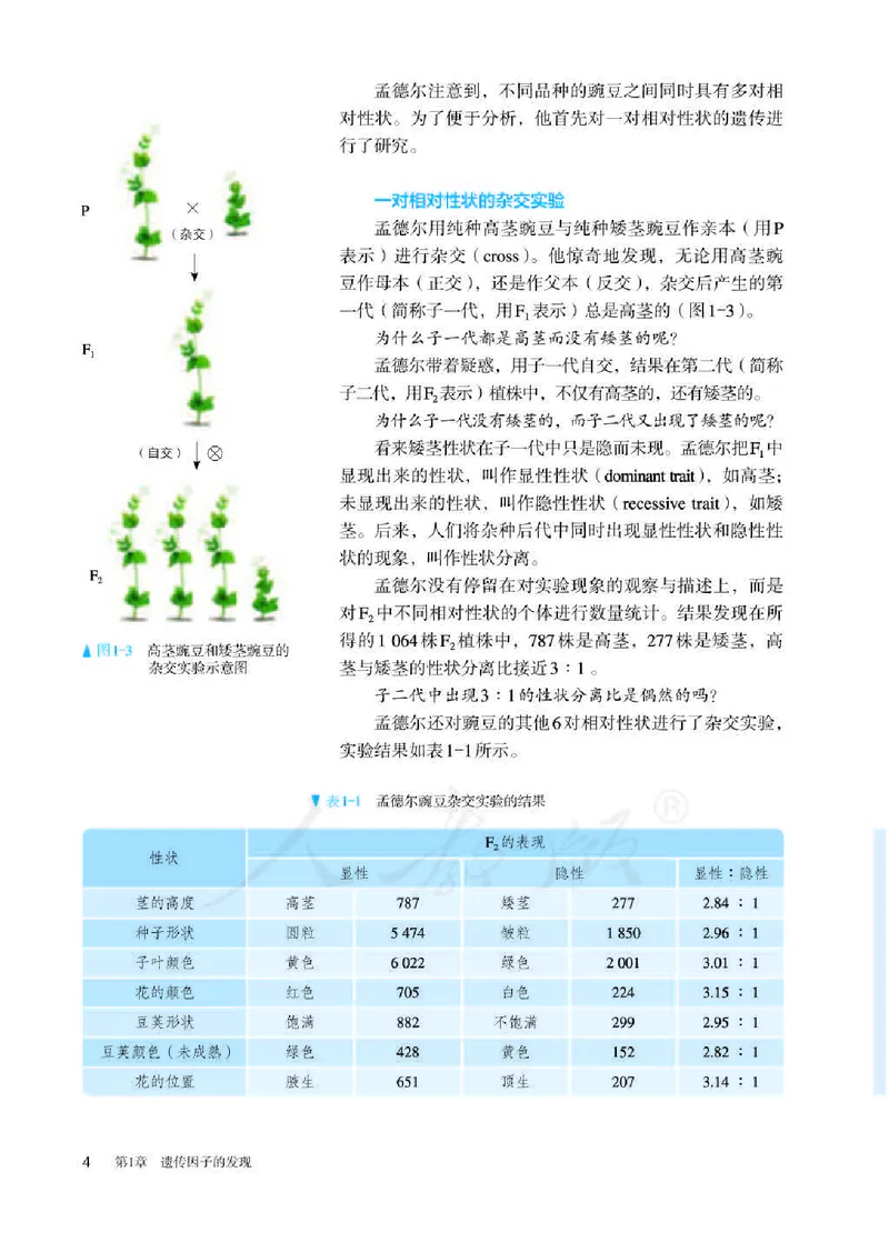 人教版生物必修2_高中电子课本_最新版高中全科高清电子课本_6高中生物课本_2019新人教版