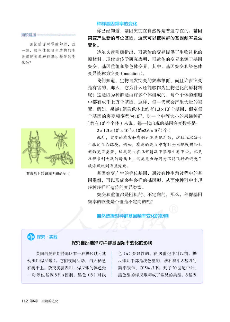 人教版生物必修2_高中电子课本_最新版高中全科高清电子课本_6高中生物课本_2019新人教版