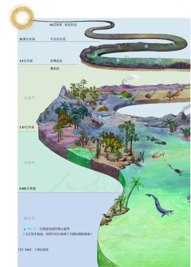 人教版生物必修2_高中电子课本_最新版高中全科高清电子课本_6高中生物课本_2019新人教版