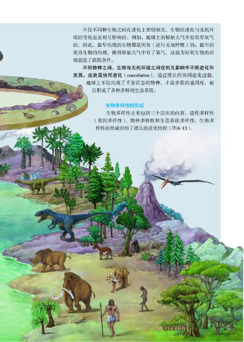 人教版生物必修2_高中电子课本_最新版高中全科高清电子课本_6高中生物课本_2019新人教版