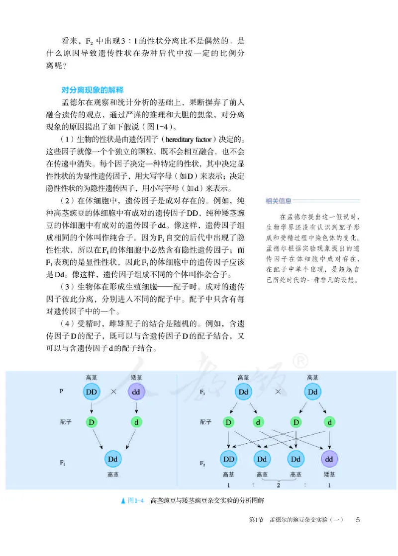 人教版生物必修2_高中电子课本_最新版高中全科高清电子课本_6高中生物课本_2019新人教版