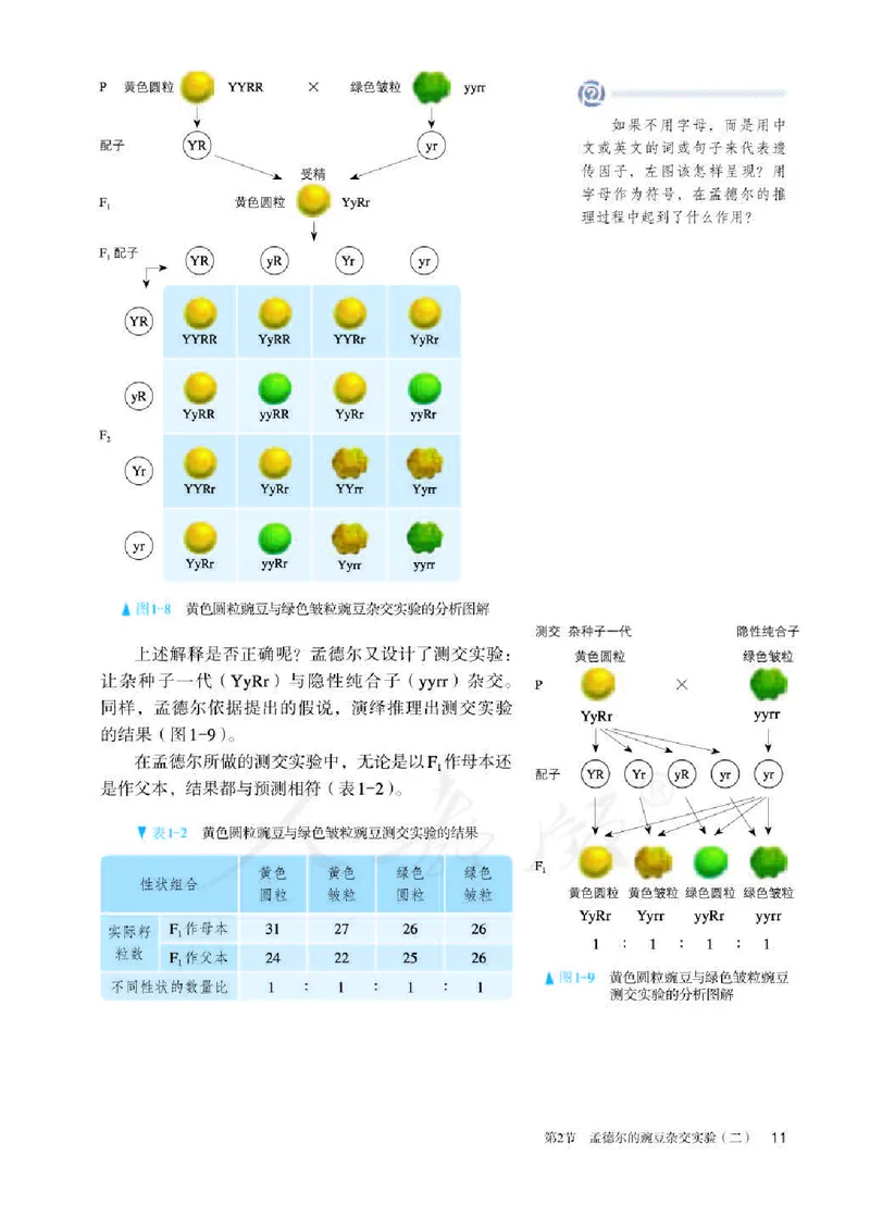 人教版生物必修2_高中电子课本_最新版高中全科高清电子课本_6高中生物课本_2019新人教版