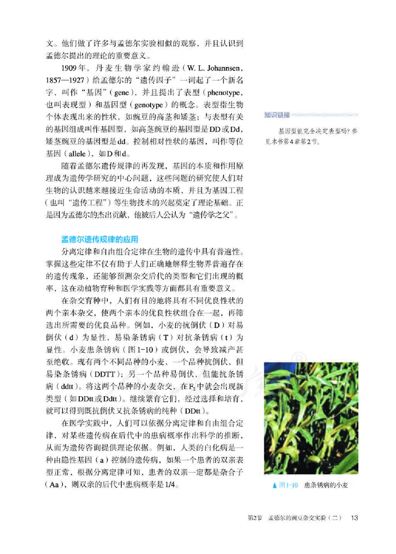 人教版生物必修2_高中电子课本_最新版高中全科高清电子课本_6高中生物课本_2019新人教版