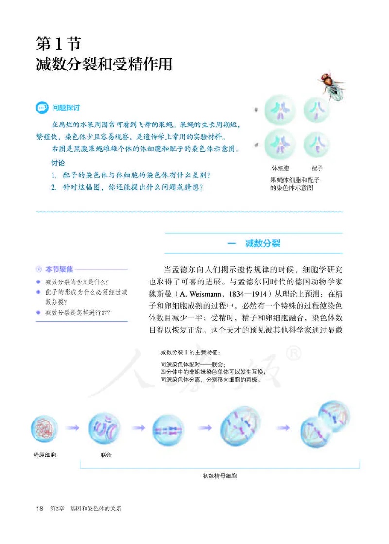 人教版生物必修2_高中电子课本_最新版高中全科高清电子课本_6高中生物课本_2019新人教版
