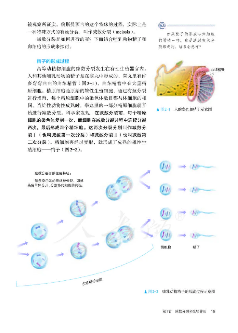 人教版生物必修2_高中电子课本_最新版高中全科高清电子课本_6高中生物课本_2019新人教版