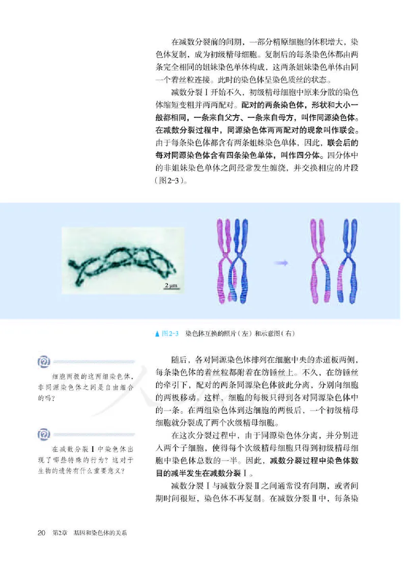 人教版生物必修2_高中电子课本_最新版高中全科高清电子课本_6高中生物课本_2019新人教版