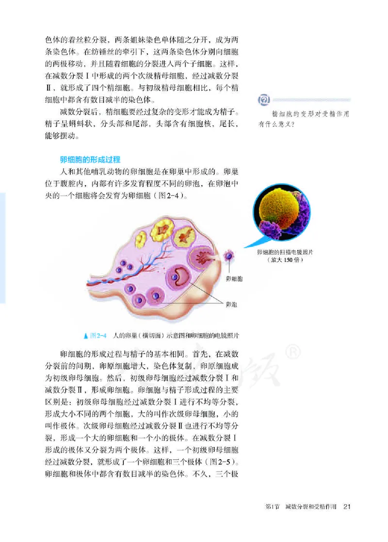 人教版生物必修2_高中电子课本_最新版高中全科高清电子课本_6高中生物课本_2019新人教版