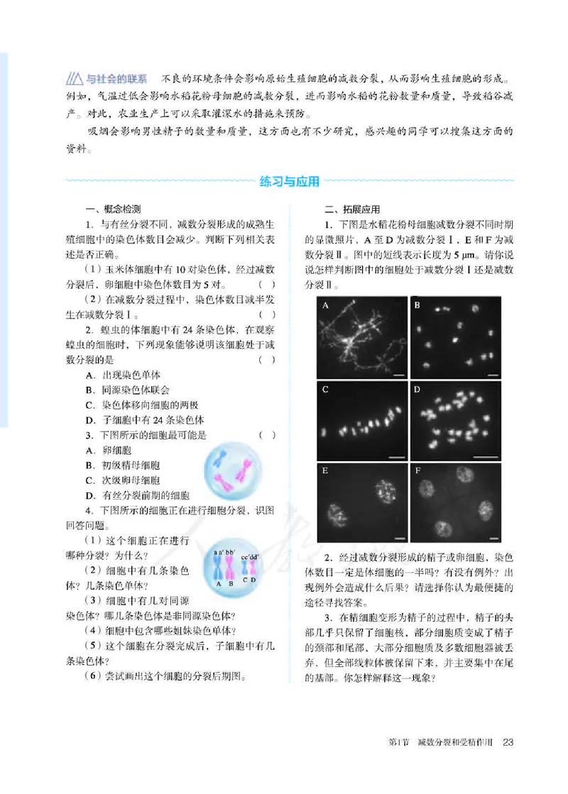 人教版生物必修2_高中电子课本_最新版高中全科高清电子课本_6高中生物课本_2019新人教版
