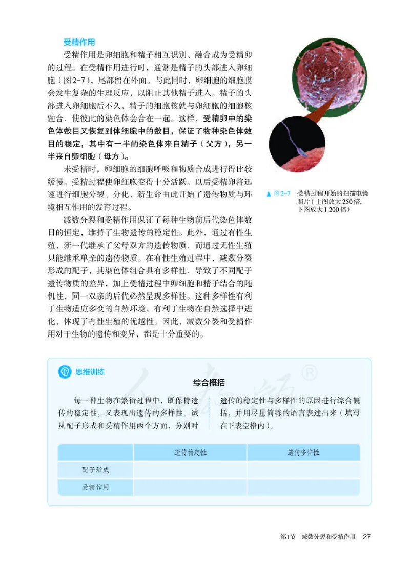 人教版生物必修2_高中电子课本_最新版高中全科高清电子课本_6高中生物课本_2019新人教版