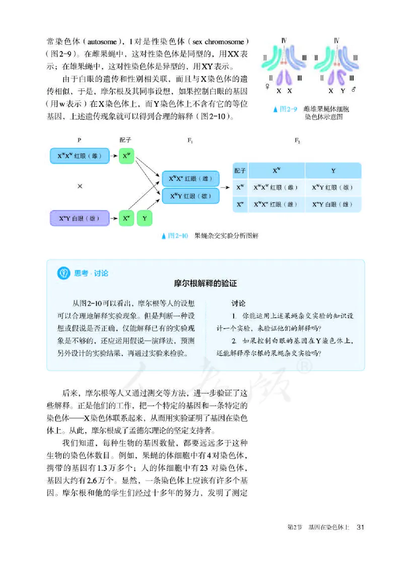 人教版生物必修2_高中电子课本_最新版高中全科高清电子课本_6高中生物课本_2019新人教版