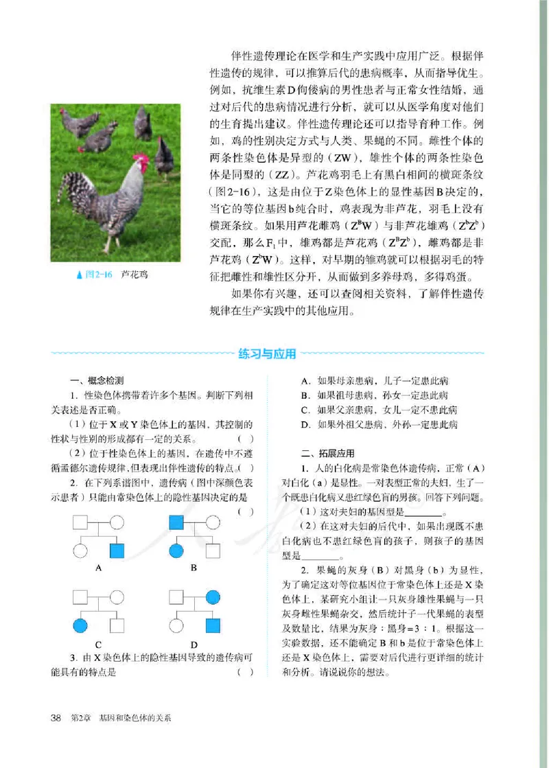人教版生物必修2_高中电子课本_最新版高中全科高清电子课本_6高中生物课本_2019新人教版