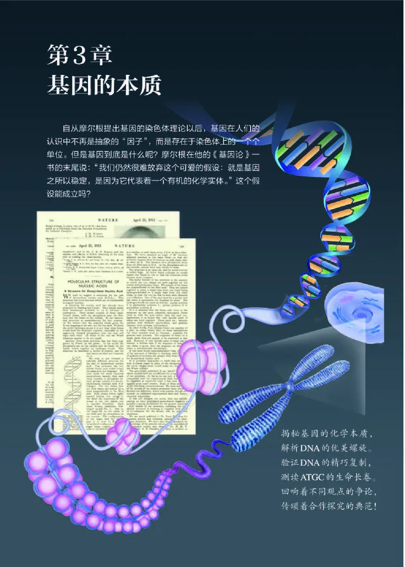人教版生物必修2_高中电子课本_最新版高中全科高清电子课本_6高中生物课本_2019新人教版