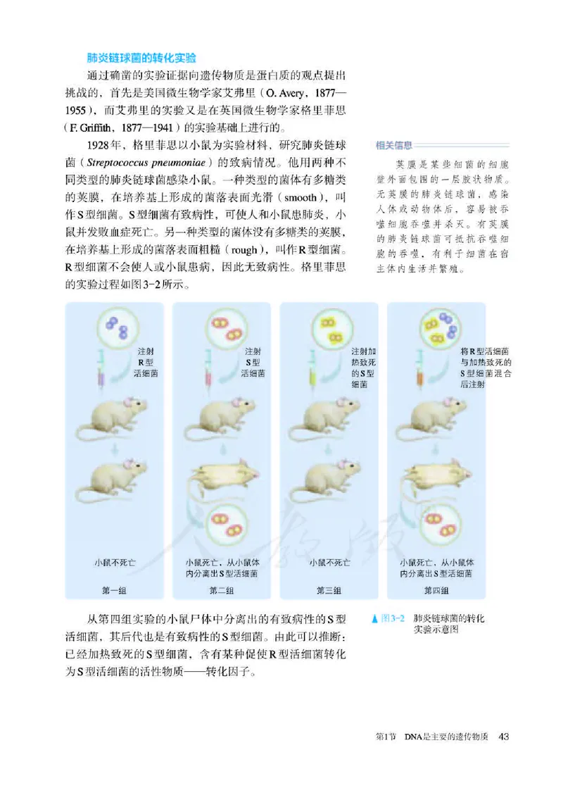 人教版生物必修2_高中电子课本_最新版高中全科高清电子课本_6高中生物课本_2019新人教版