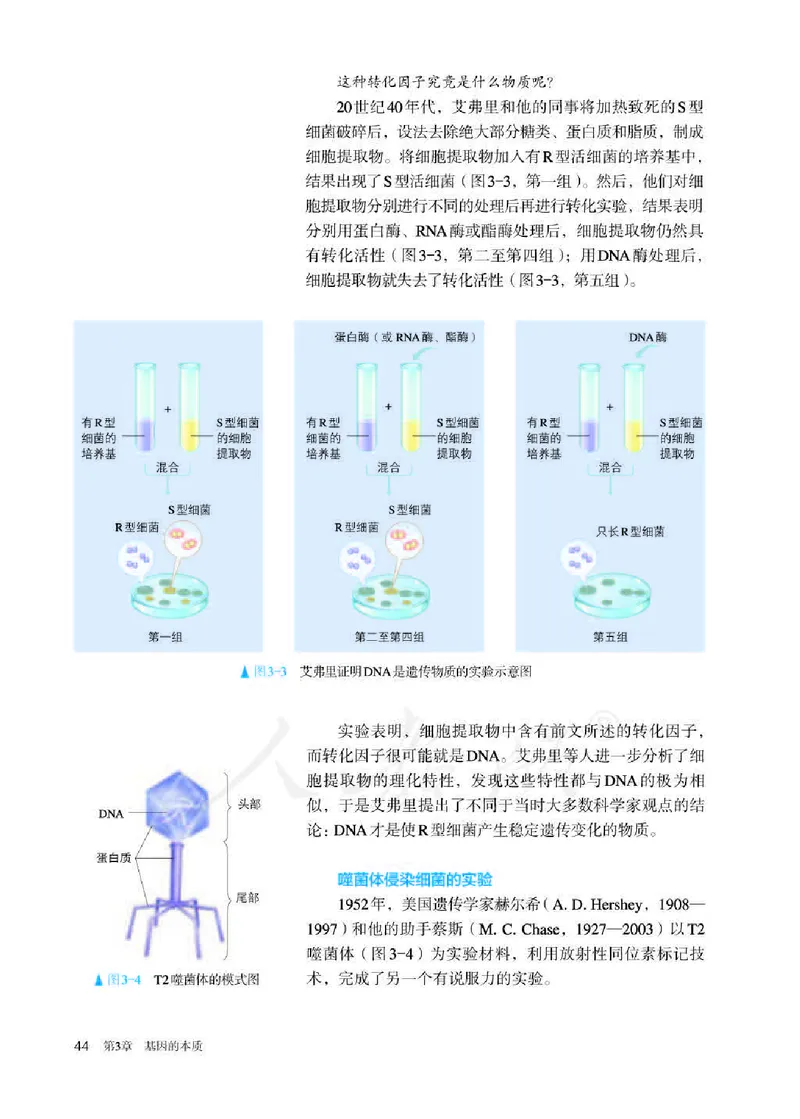 人教版生物必修2_高中电子课本_最新版高中全科高清电子课本_6高中生物课本_2019新人教版