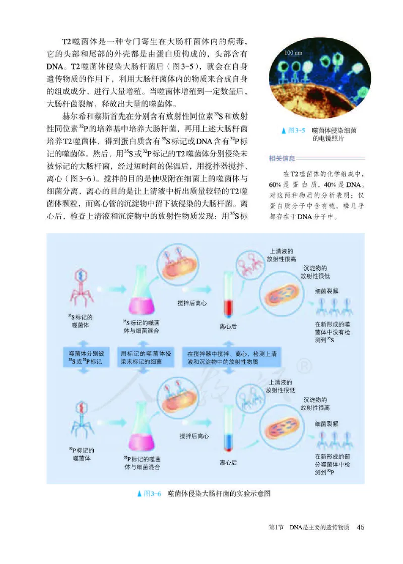 人教版生物必修2_高中电子课本_最新版高中全科高清电子课本_6高中生物课本_2019新人教版