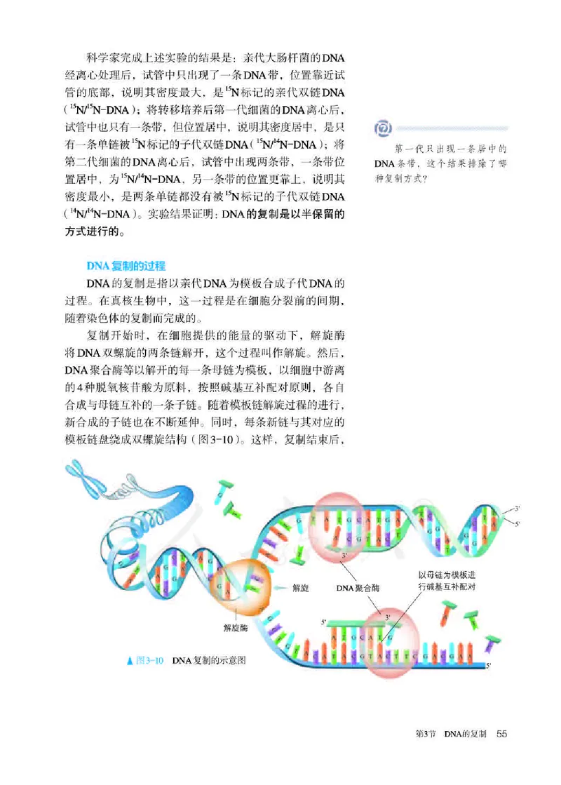 人教版生物必修2_高中电子课本_最新版高中全科高清电子课本_6高中生物课本_2019新人教版