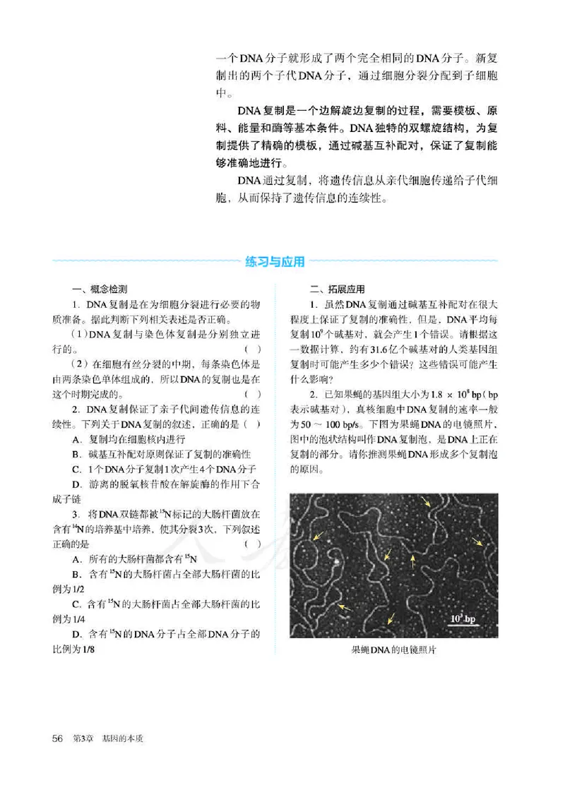 人教版生物必修2_高中电子课本_最新版高中全科高清电子课本_6高中生物课本_2019新人教版