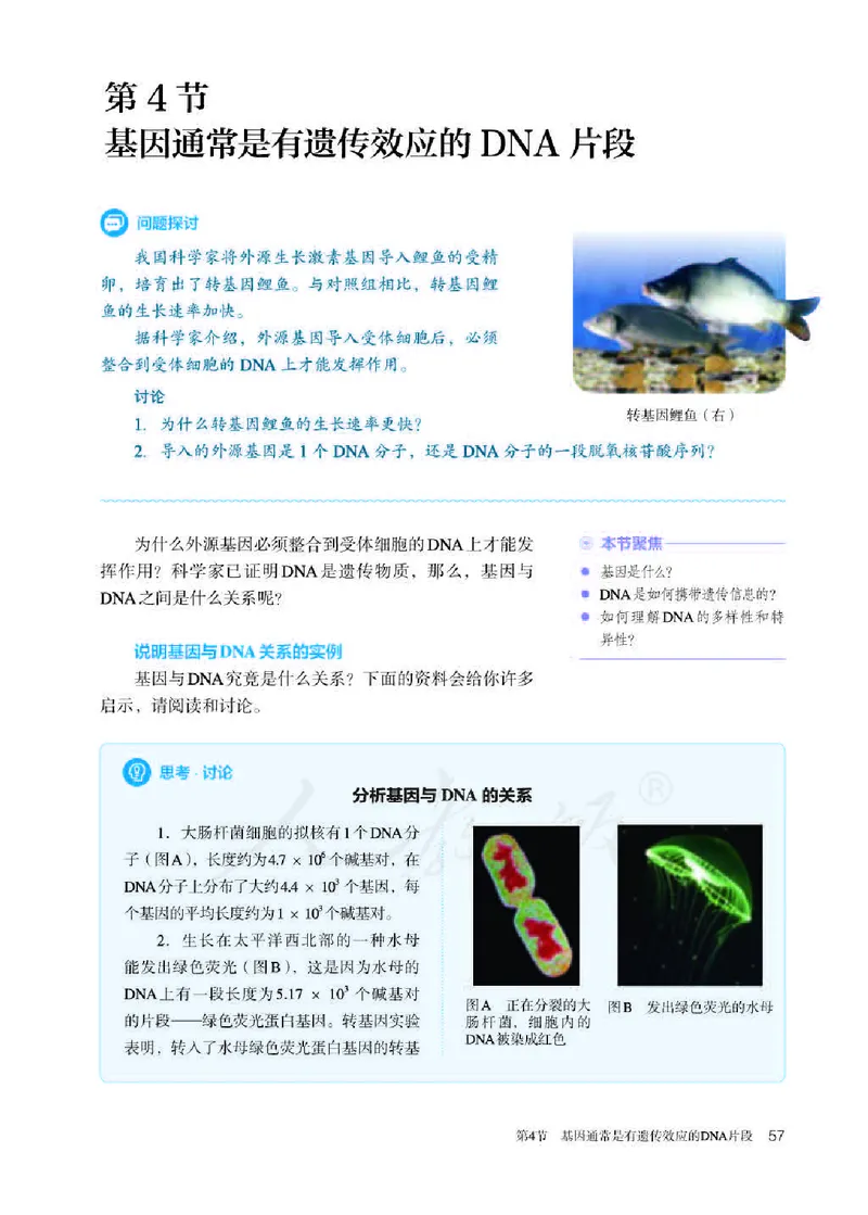 人教版生物必修2_高中电子课本_最新版高中全科高清电子课本_6高中生物课本_2019新人教版